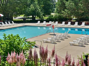Pool And Sundecks at The Village Apartments, Michigan